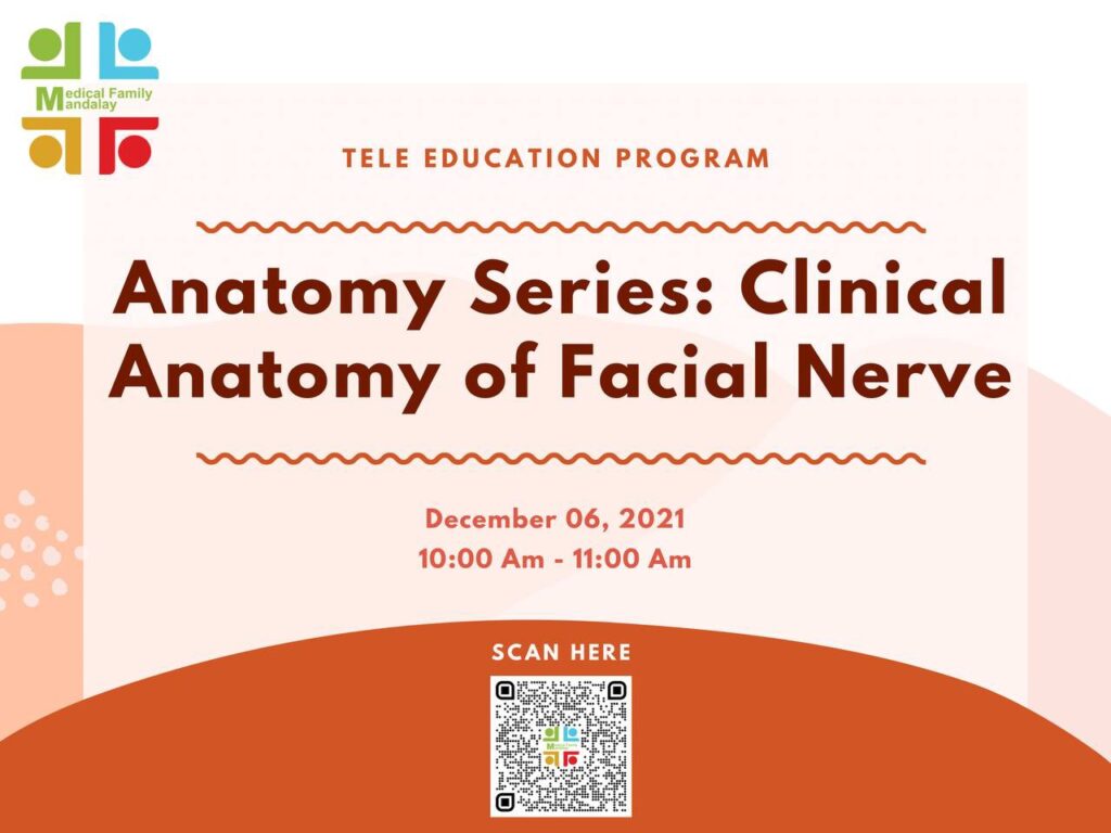 anatomy series clinical anatomy of facial nerve